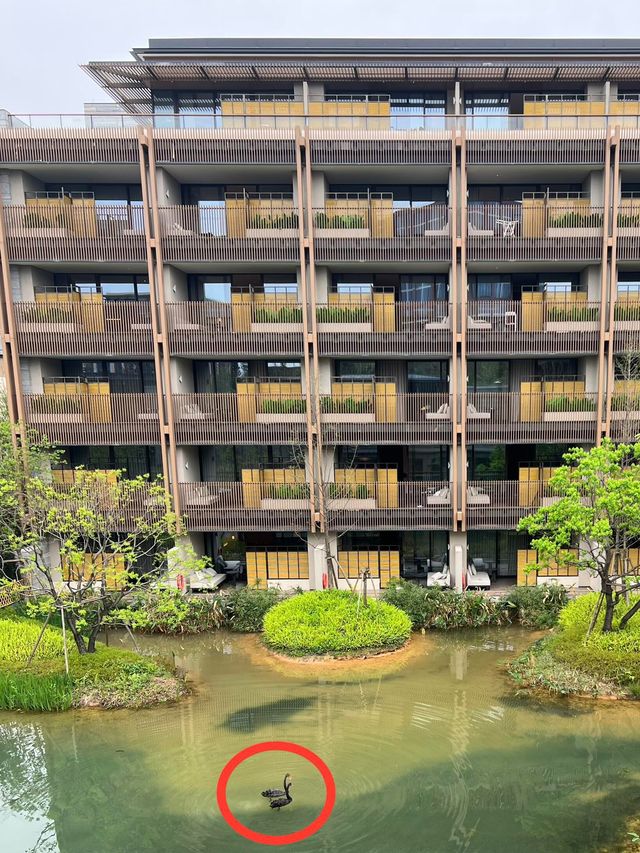 東莞松山湖悅榕莊度假村