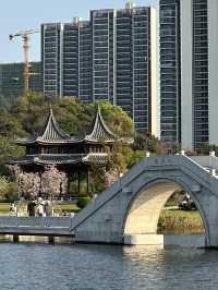 珠海中山公園：鬧市中的靜謐樂土