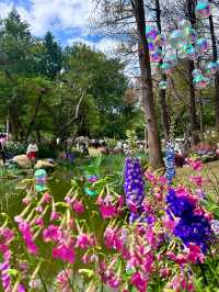深圳人民公園 | 莫奈秘境花園🫧春日氣氛感  這是深圳市內最早的公園之一，安靜人少，閒暇時來這