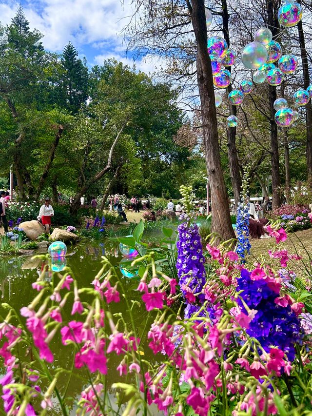 深圳人民公園 | 莫奈秘境花園🫧春日氣氛感  這是深圳市內最早的公園之一，安靜人少，閒暇時來這