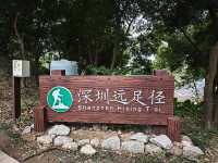 城市中的綠洲｜大頂嶺山林公園的自然體驗