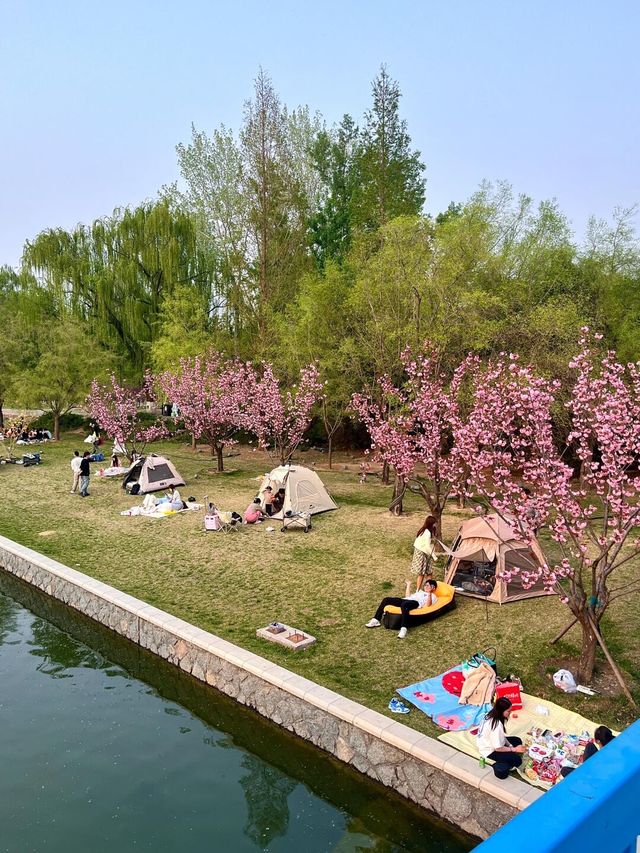 北京朝陽公園｜超全遊玩攻略