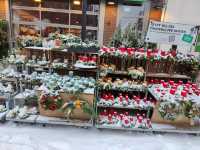 Christmas Market in Buxtehude, Germany