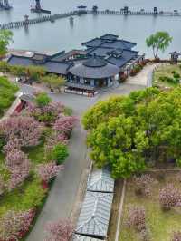 一键重啟·夢回三國名場面    保姆級攻略來啦