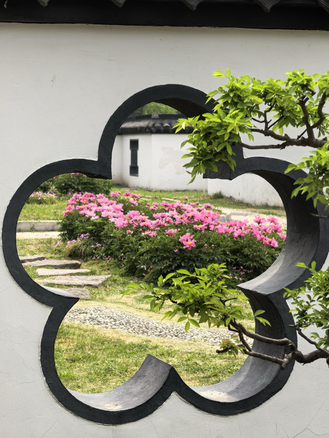 揚州旅遊旺季的「清場」秘笈：揭秘小眾路線，拍出無人美景！