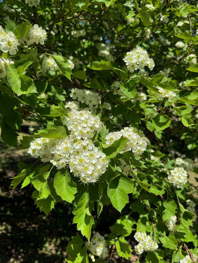 濰坊一日遊天花板！富華遊樂園