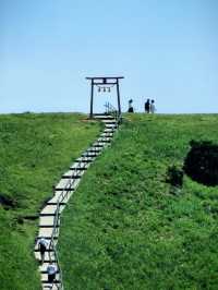 夏日限定 抹茶味兒大室山
