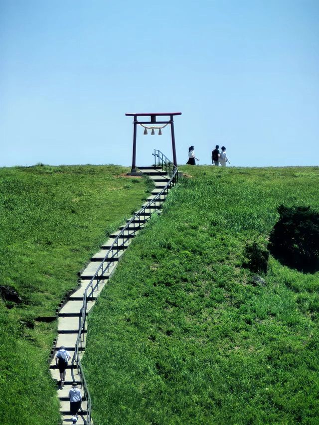 夏日限定 抹茶味兒大室山