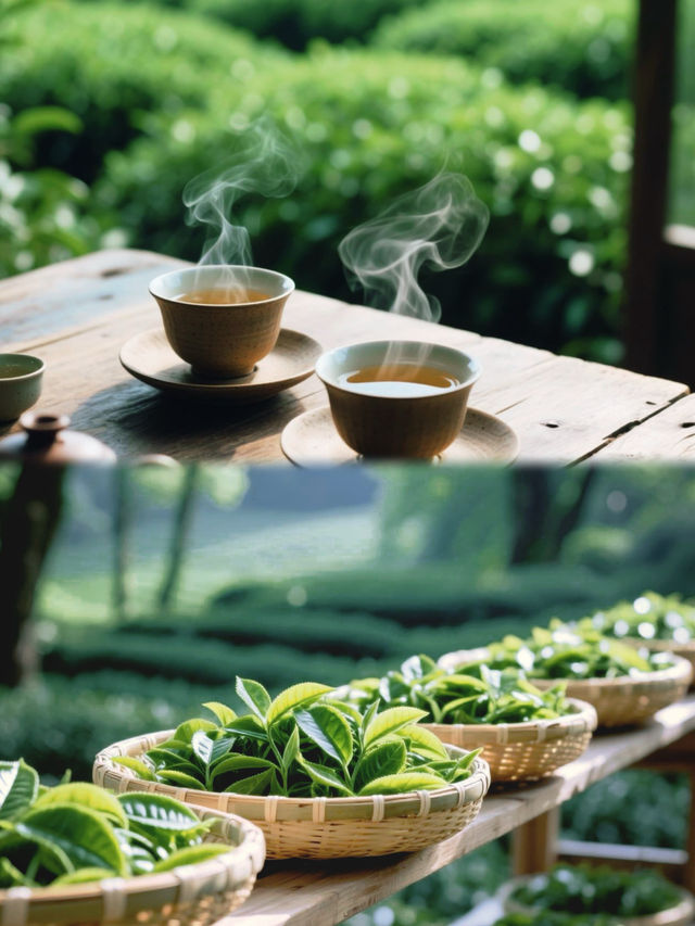 被《國家地理》遺漏的寶藏：復興村萬畝茶田雲端開花