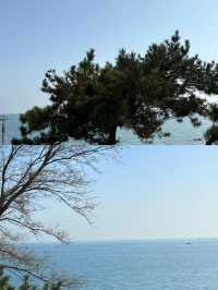 金石沙灘遊玩全攻略：邂逅遼東半島嘅海濱明珠