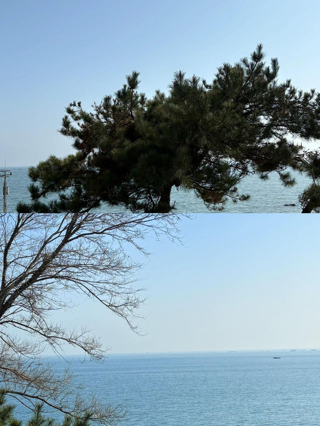 金石沙灘遊玩全攻略：邂逅遼東半島嘅海濱明珠