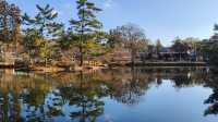 奈良東大寺，千年古剎的寂靜詩篇