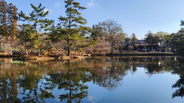 奈良東大寺，千年古剎的寂靜詩篇
