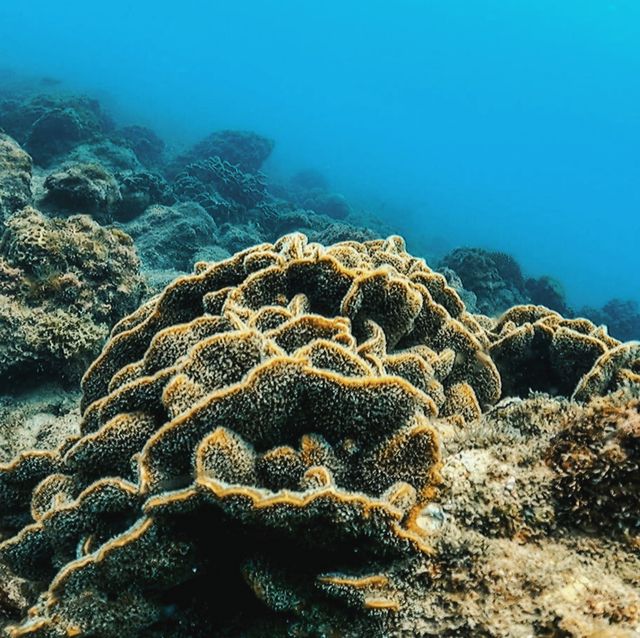 深圳大澳灣：浮潛與趕海嘅夢幻之境