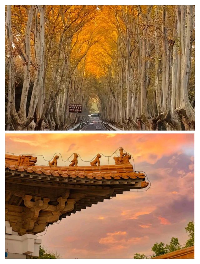 南京三日兩夜超詳細旅遊攻略