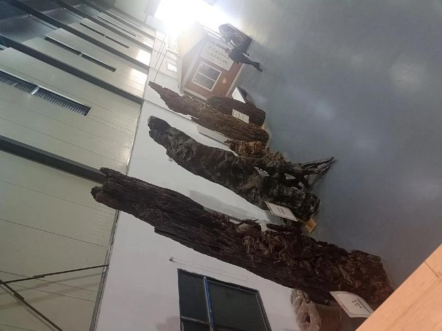 台州深山藏着一座寺廟，驚艷世人！