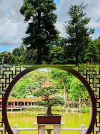 如果你嚟深圳，我一定會帶你去仙湖植物園！