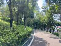 ☀️陽光下的沙井公園🌴✨城市中自然綠洲