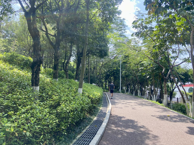 ☀️陽光下的沙井公園🌴✨城市中自然綠洲