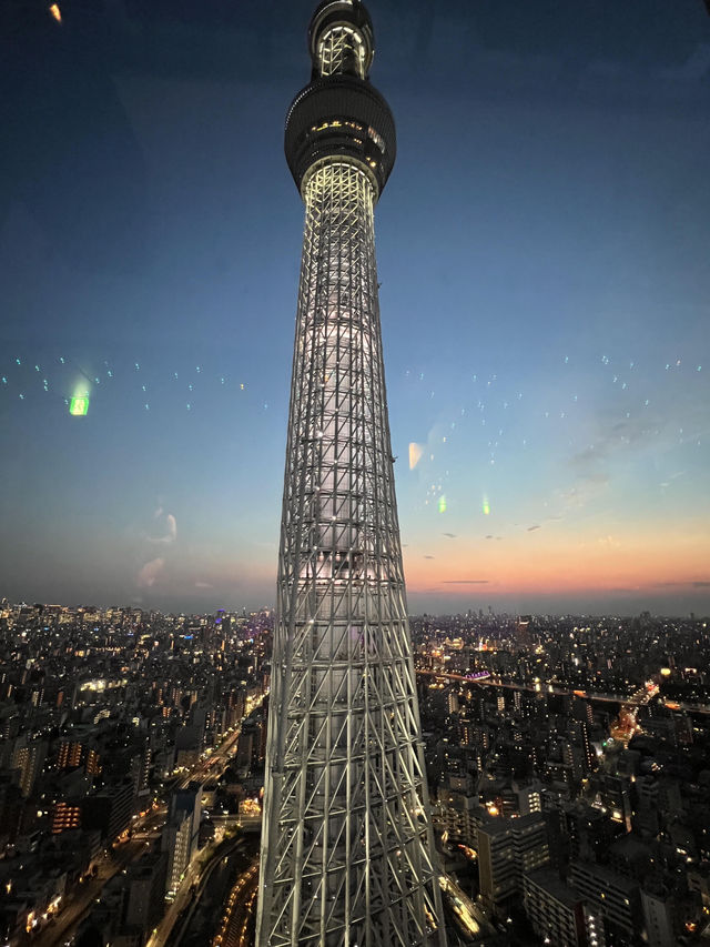 東京浪漫夜景餐廳🥂天空 LOUNGE TOP of TREE
