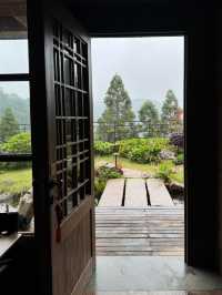 福州鼓嶺！同爸媽住進神仙山野小院！太治癒啦～