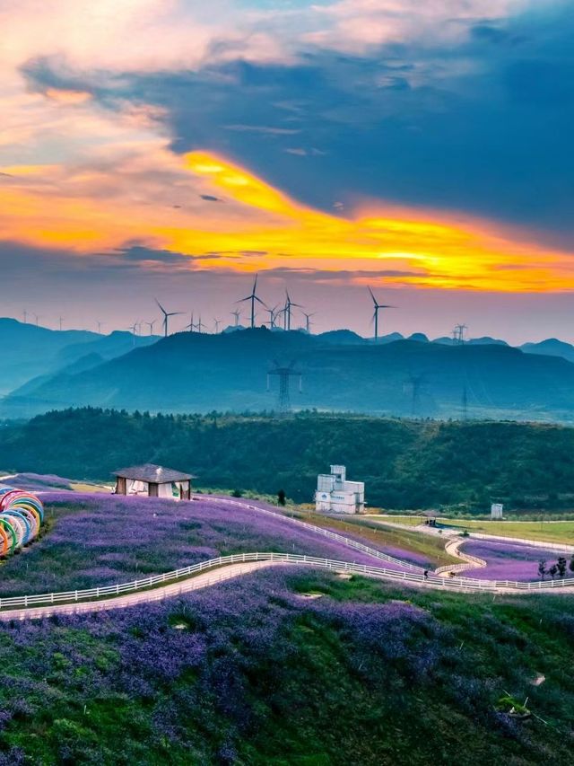 貴陽1日遊 包車暢享輕鬆行程