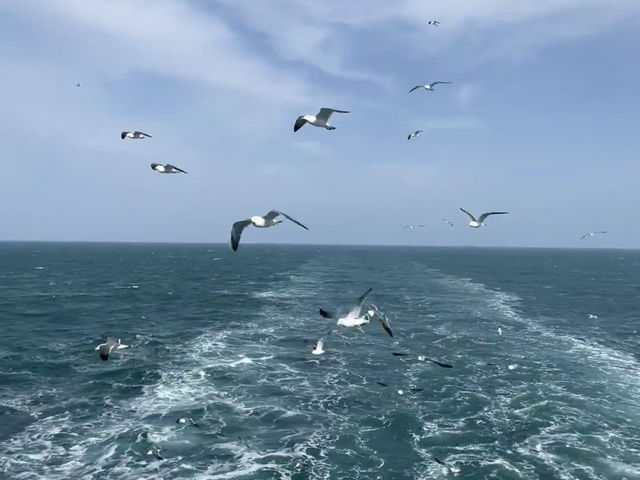 不許任何人說鼓浪嶼號不好！🛳️✨
