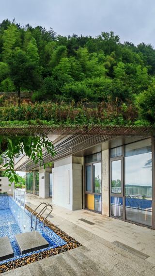 Forest Oxygen Bar, A Vacation Home Amidst Mountains and Waters—Jiuquyuan Homestay