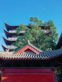 長沙洪山寺攻略雨霧竹林