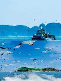 從另一個角度看海驢島！