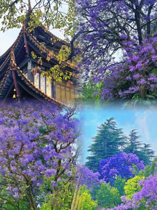 Yuxi Day Trip | Super Detailed City Walk Itinerary