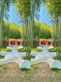 安吉，真係深藏不露啊