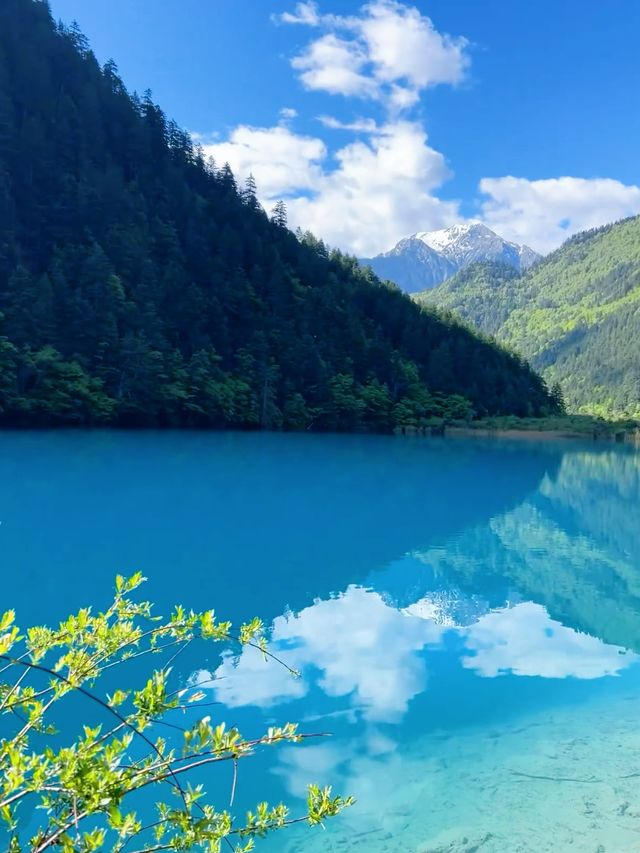 九寨溝兩日遊超詳細攻略，輕鬆掌握絕美風景