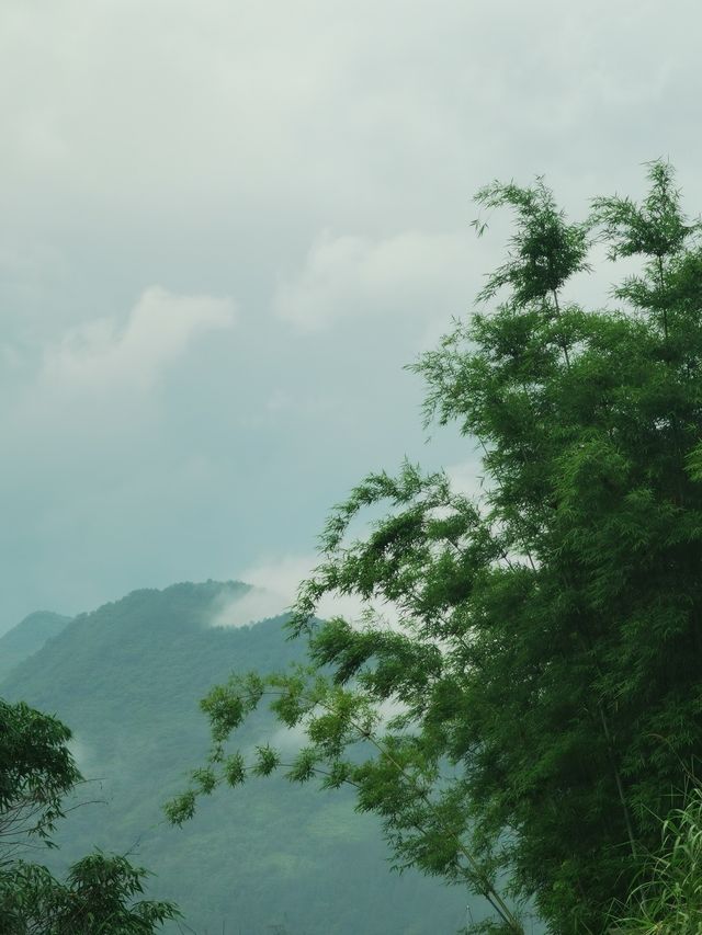 九成廣州人未去過嘅山區公園