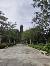 《河畔夢境，蔚徕的治癒時光》