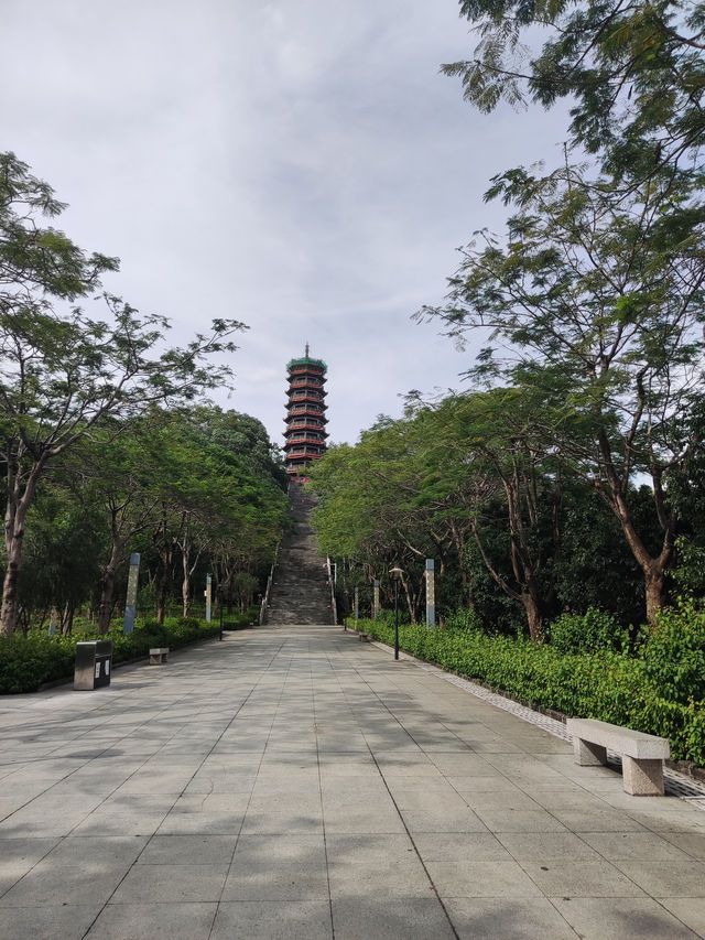 《河畔夢境，蔚徕的治癒時光》