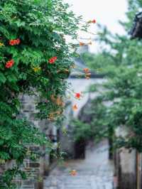 可惜你不來江南，不知道江南煙雨有多浪漫