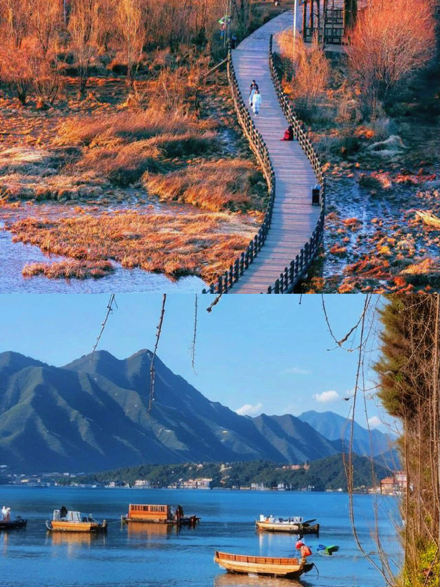 今個夏天一定要去瀘沽湖，水性楊花盛開，美如仙境。