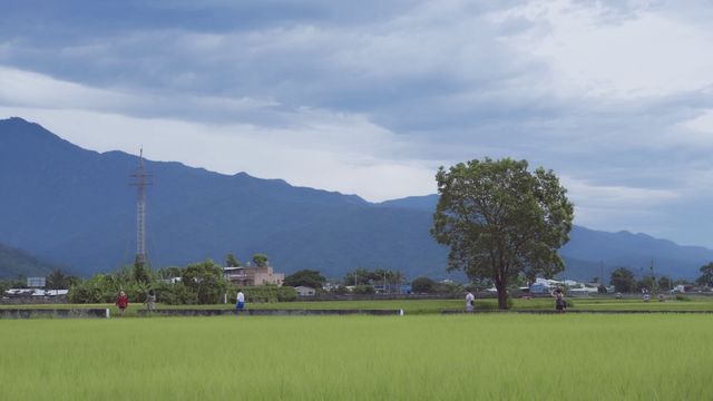 台灣東線九天八晚環島自由行 超詳細攻略