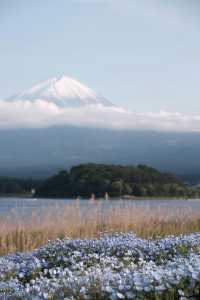 富士山河口湖小眾玩法 水上路線公開！