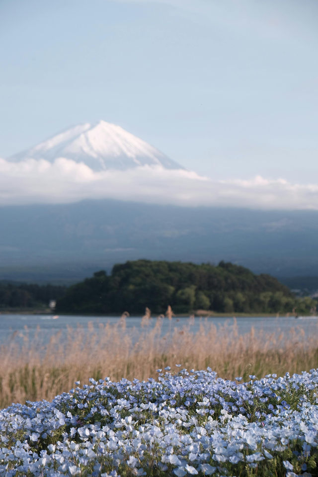 富士山河口湖小眾玩法 水上路線公開！