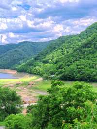 向山野，同昆蟲、樹葉同蘑菇見面