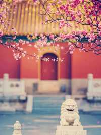​【北京故宫（こきゅう）完全ガイド】皇帝の宮殿を歩く感動の旅！​​