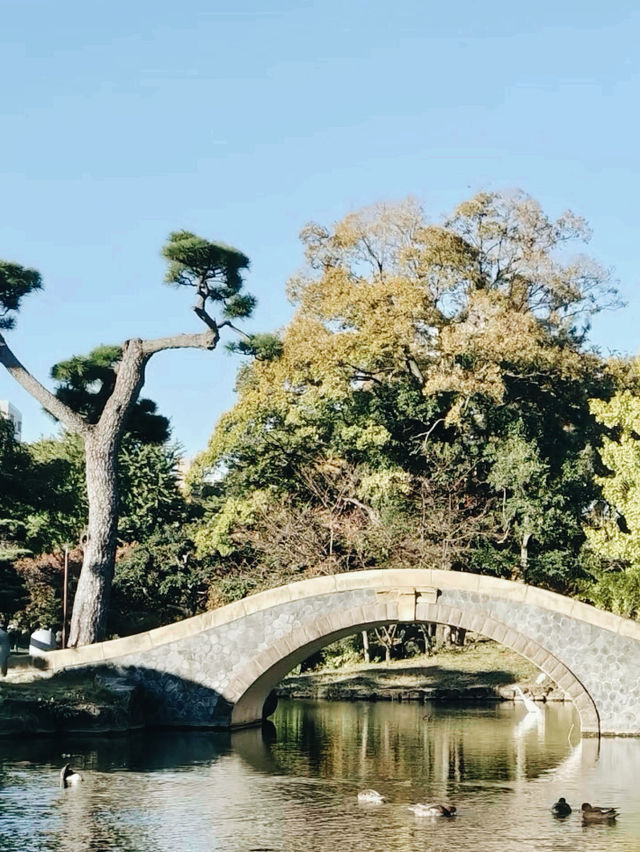 千年神社巡禮！住吉大社不可錯過的靜谧體驗】**  