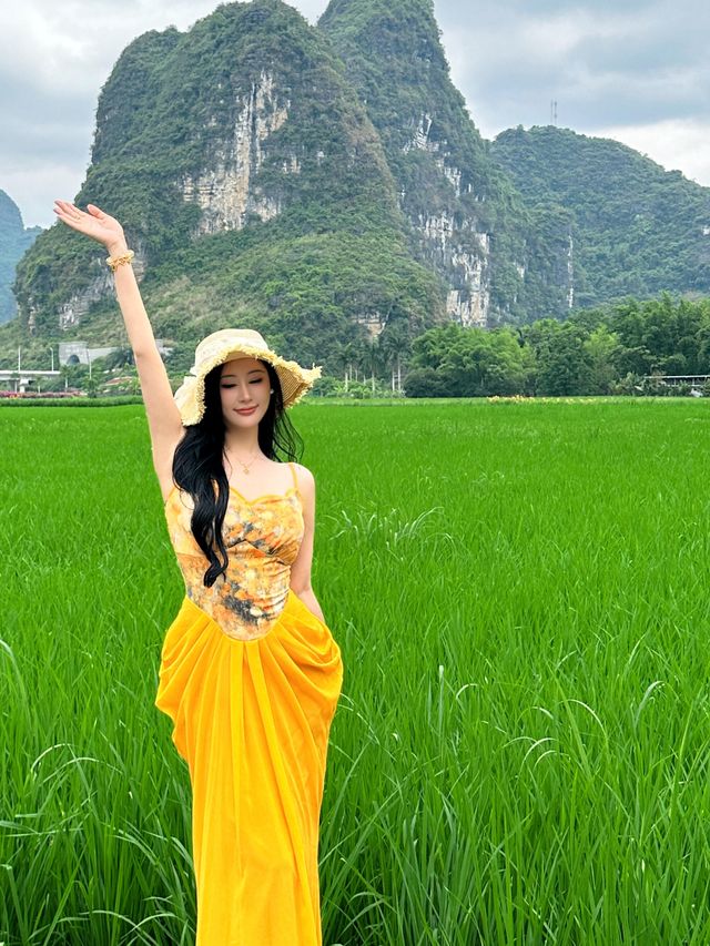 黃裙與稻浪，共赴一場大地的盛宴