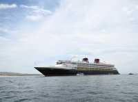 FINAL CALL: Up to 30% OFF Disney Cruises from Australia!⏳