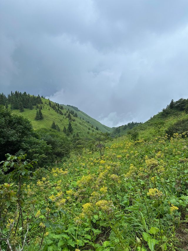 桂林版阿勒泰｜茶坪水庫徒步打卡攻略