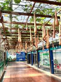 ✅ Global innovations – See how China leads in smart agriculture!