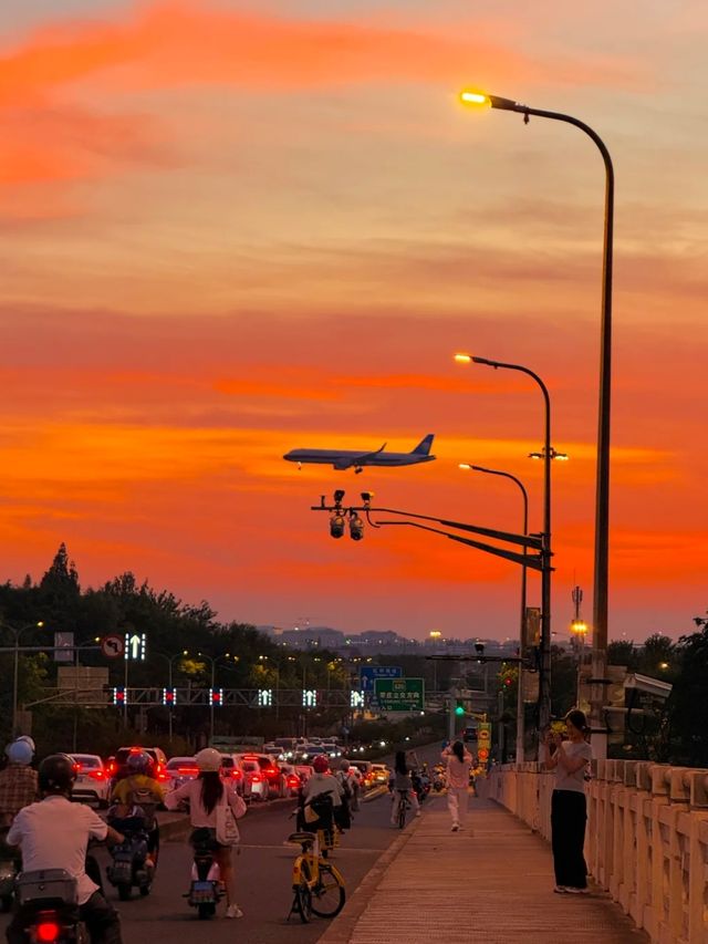 上海，仲夏夜之夢