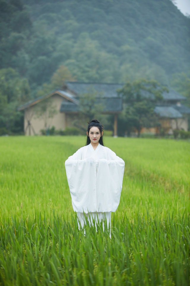 夏日限定｜闖進宮崎駿的稻田漫畫世界！